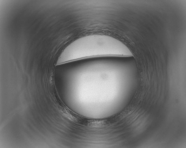 X0000056350081200508260931