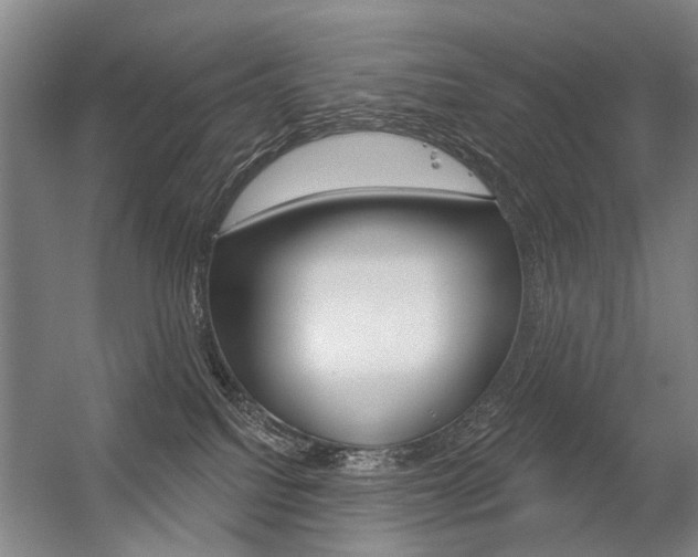 X0000056350088200508260931