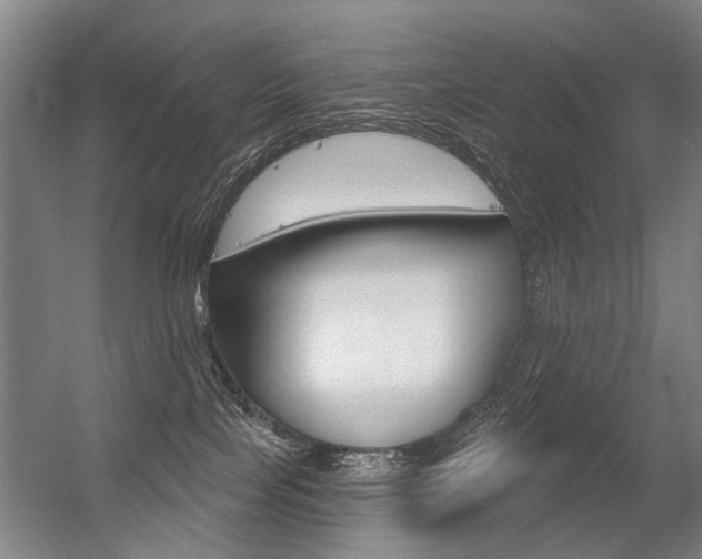 X0000056350089200508260931