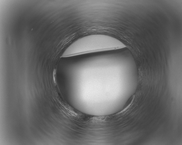 X0000056350094200508260931