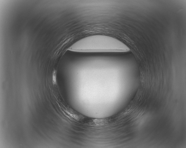 X0000056350095200508260931