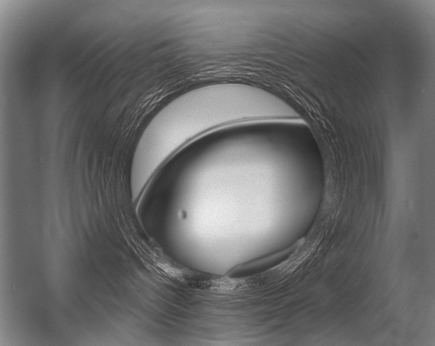 X0000056350096200508260931