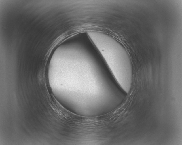 X0000056350099200508260930