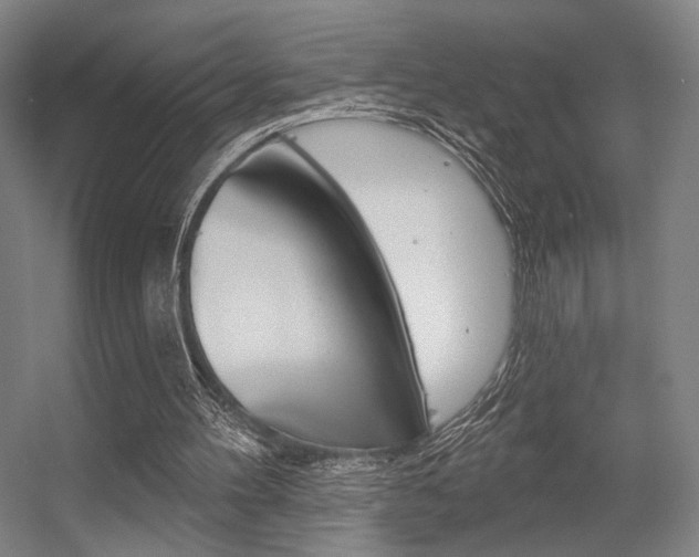 X0000056350100200508260930