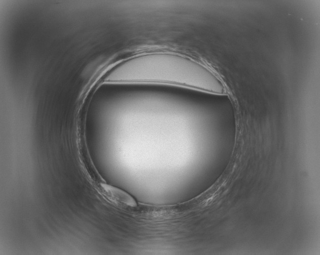 X0000056350103200508260930