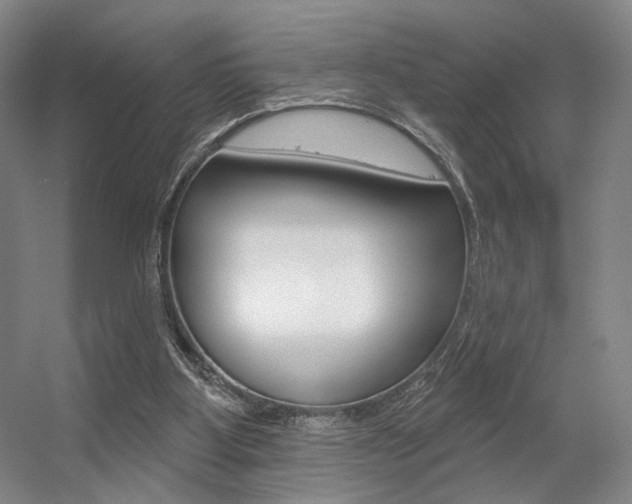 X0000056350107200508260930