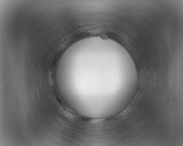 X0000056350136200508260930