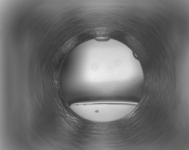 X0000056350140200508260930