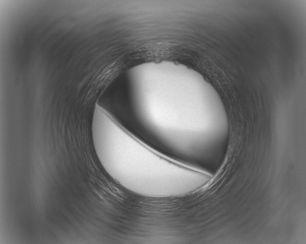X0000056350144200508260929