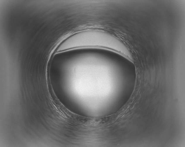 X0000056350148200508260929