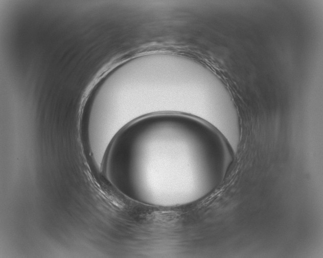 X0000056350150200508260929