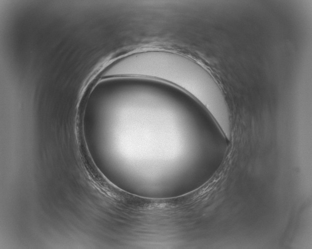 X0000056350152200508260929