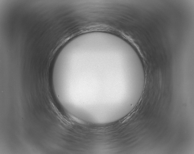 X0000056350154200508260929
