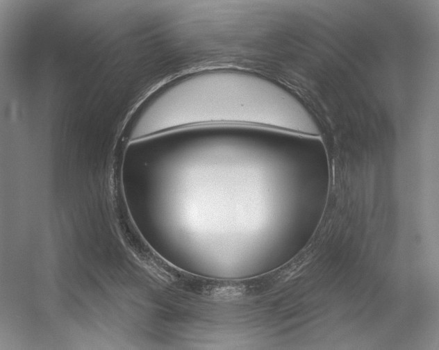 X0000056350156200508260929