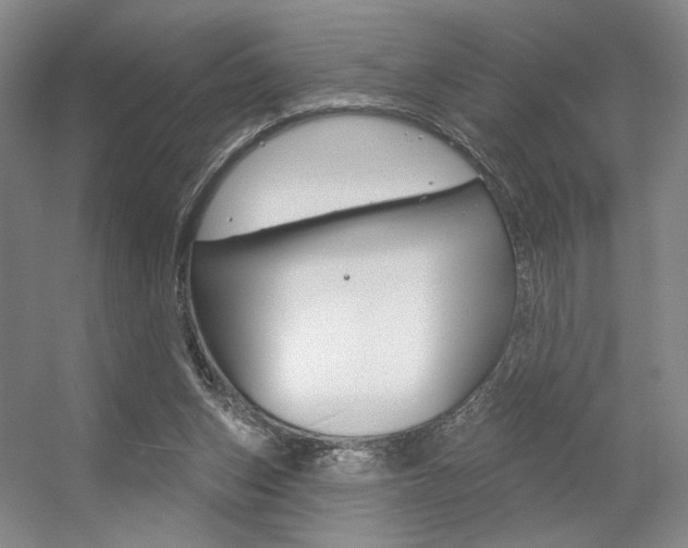 X0000056350159200508260929