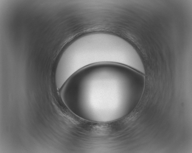 X0000056350164200508260929