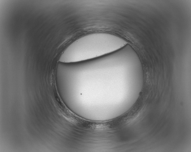 X0000056350165200508260929