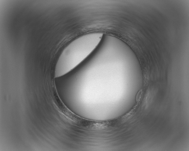 X0000056350166200508260929