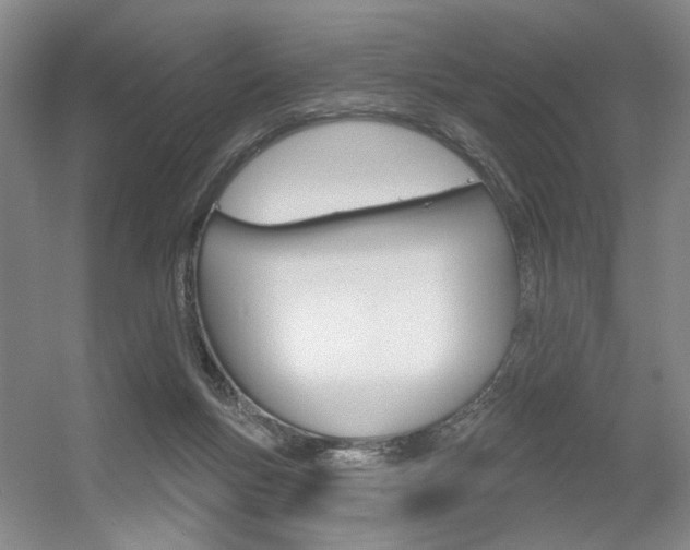 X0000056350167200508260929