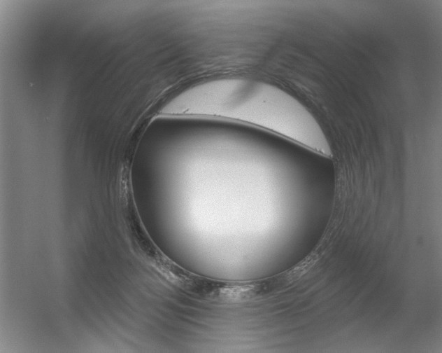 X0000056350172200508260929