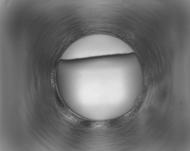 X0000056350175200508260929