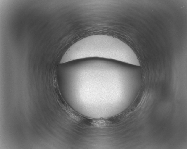 X0000056350181200508260929