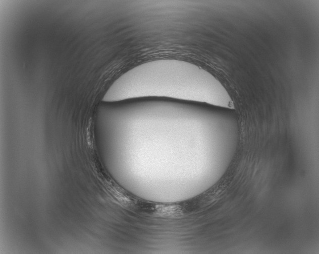 X0000056350185200508260929