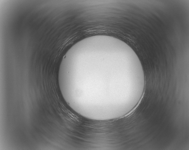X0000056350190200508260929