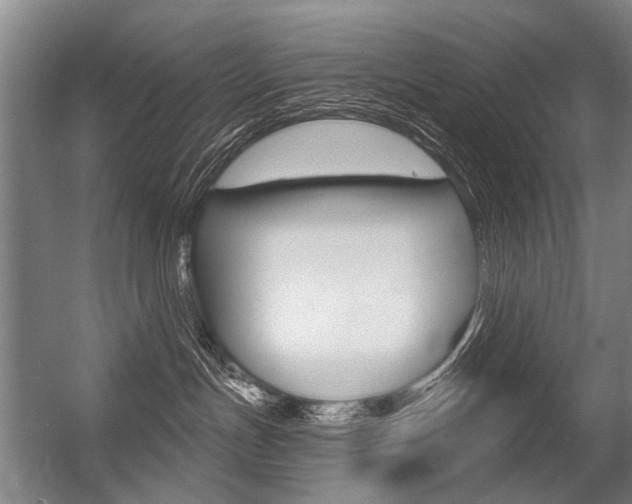 X0000056350191200508260929
