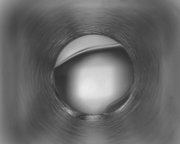 X0000056350192200508260929