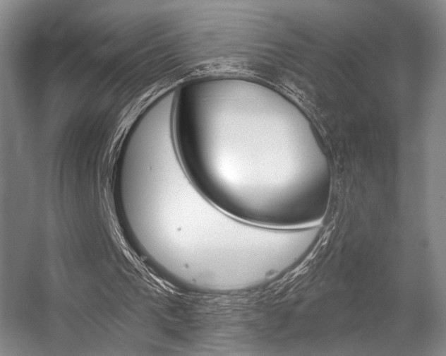 X0000056350193200508260929