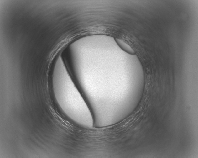 X0000056350194200508260929