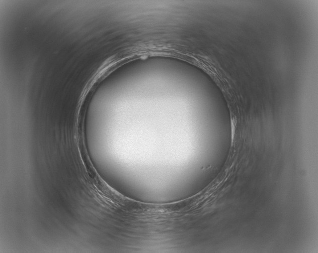 X0000056350195200508260929