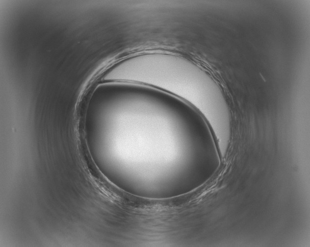X0000056350197200508260929