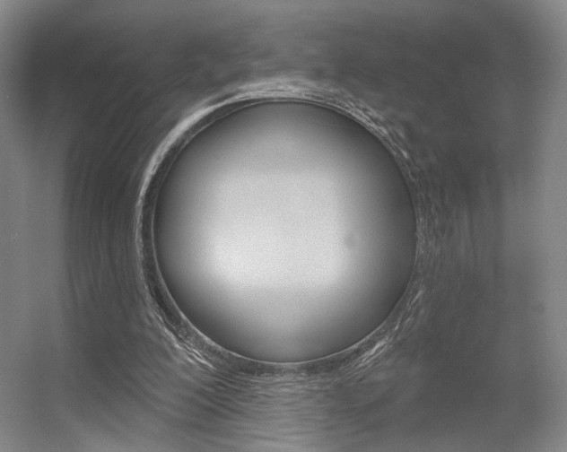X0000056350200200508260929