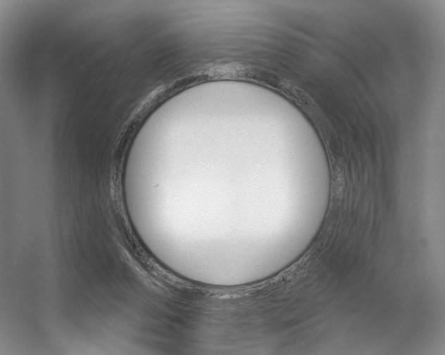 X0000056350208200508260928