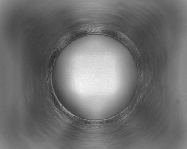 X0000056350209200508260928