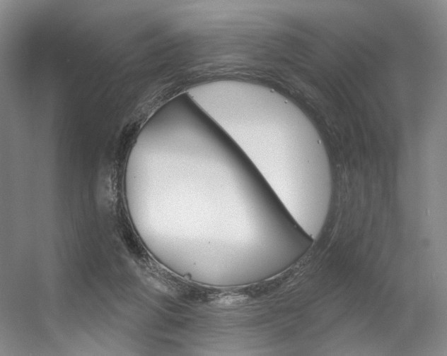 X0000056350210200508260928