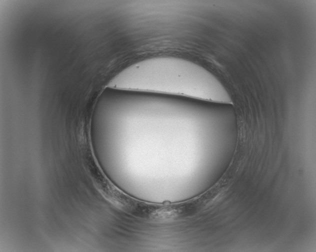 X0000056350213200508260928
