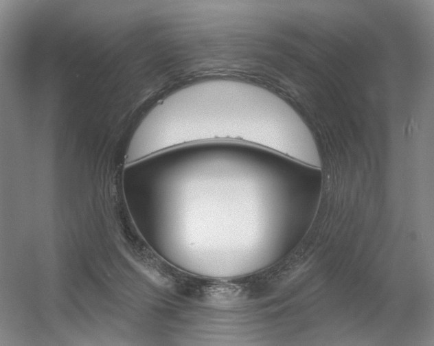 X0000056350215200508260928