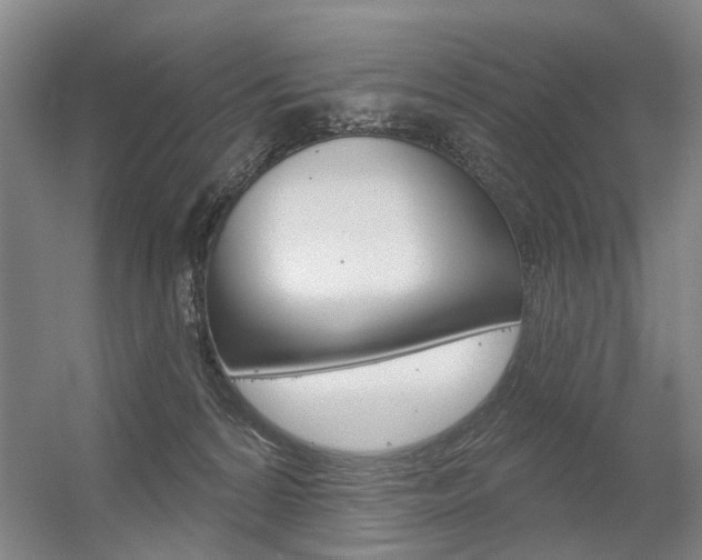 X0000056350224200508260928