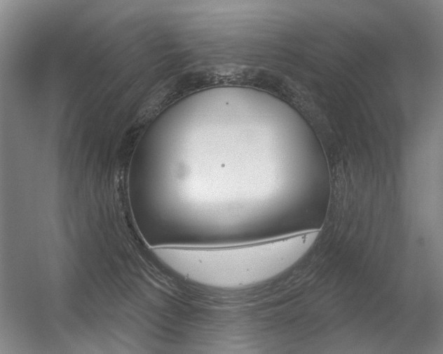 X0000056350225200508260928