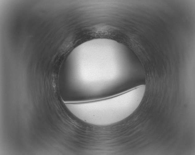 X0000056350232200508260928