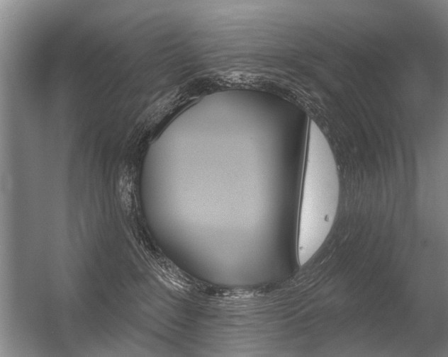 X0000056350235200508260928