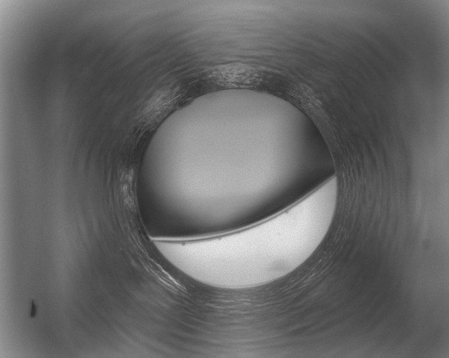 X0000056350239200508260928