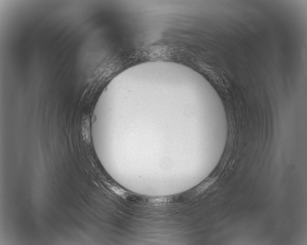 X0000056350240200508260928
