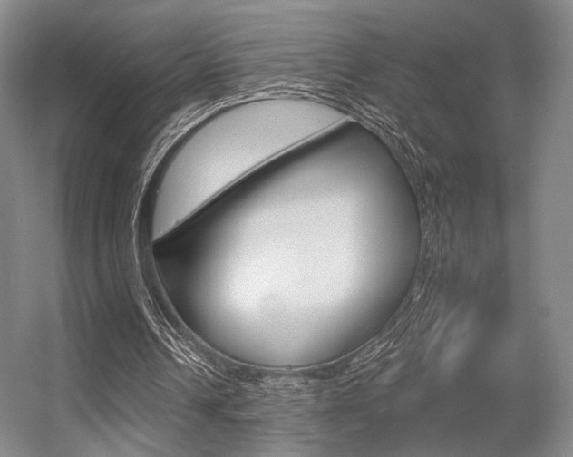 X0000056350242200508260927
