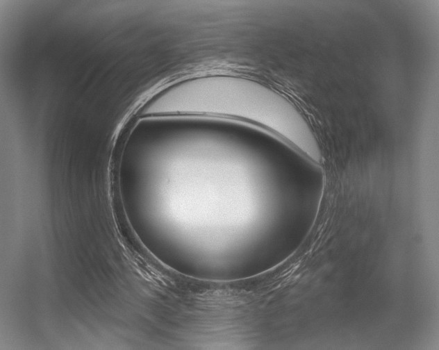 X0000056350244200508260927