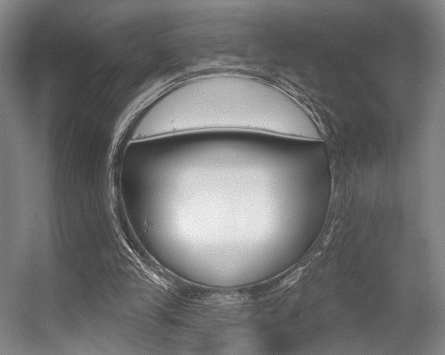 X0000056350245200508260927