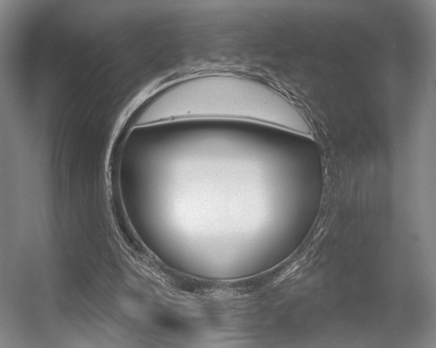 X0000056350246200508260927